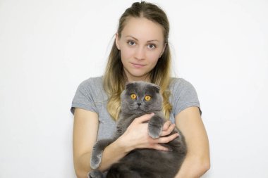 Beyaz arka plan, modeli çekilmiş fotoğrafı yakın çekim bel, sahnede modeli bir kedi kedi doğurmak İskoç fold onun kollarında tutar