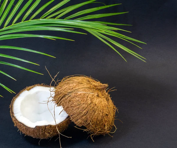 Noix de coco, fruits exotiques, deux moitiés du fruit dans la coquille, fond sombre, mise au point sélective, feuilles de palmier vert — Photo