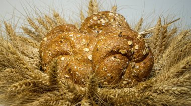 Çelenk lyon tahıllar, ayçiçeği, kabak, yulaf ezmesi, kendi ellerinizle taze pişmiş ekmek içinde buğday kulaklarından yapılır, hasat altın kulaklar, arka plan serisi
