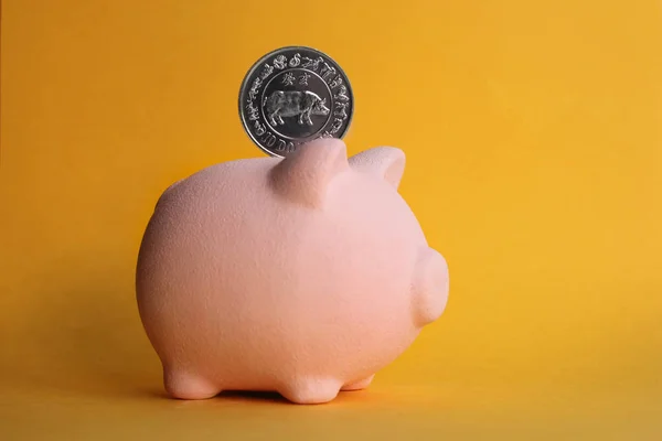 Pig piggy bank pink on a yellow background with a coin depicting a pig