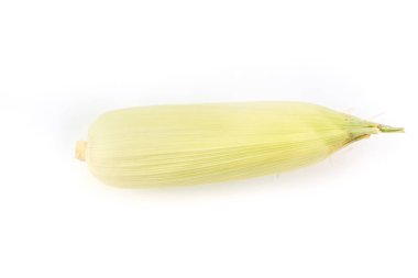 Beyaz arkaplanda mısır