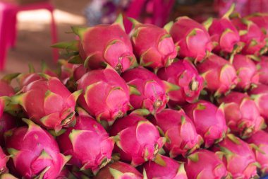 Ejderha meyvesine odaklanmış.