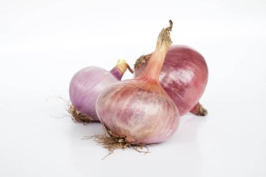 Beyaz arkaplanda Shallot 'ların kapatılması