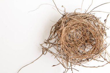 Beyaz arka plan üzerinde eski kuş yuvası.