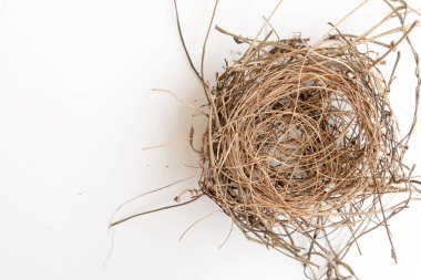 Beyaz arka plan üzerinde eski kuş yuvası.