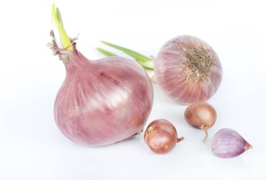 Beyaz arkaplanda Shallot 'ların kapatılması