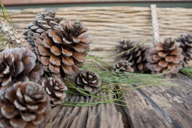 Ahşap masa üzerinde çam konisi kapatın