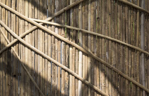 Sun light on Bamboo wall taexture — Stock Photo, Image