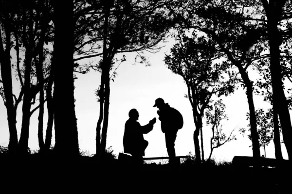 Silhueta de casal de amor na borda de árvores, costas e tom branco — Fotografia de Stock