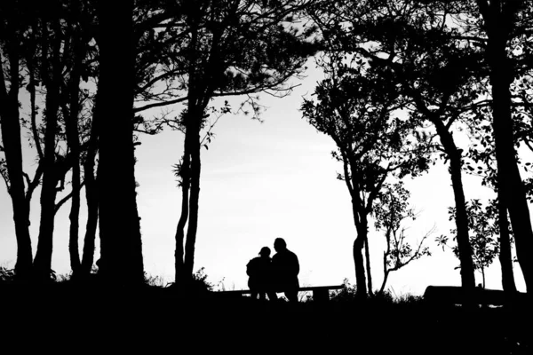 Silhueta de casal de amor na borda de árvores, costas e tom branco — Fotografia de Stock