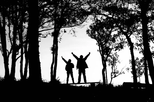 Silhueta de casal de amor na borda de árvores, costas e tom branco — Fotografia de Stock