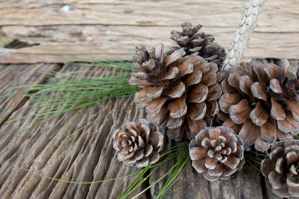 Feche o cone de pinho na mesa de madeira — Fotografia de Stock