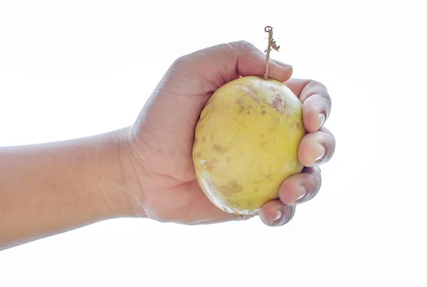 Beyaz arka planda el tutma tutku meyve — Stok fotoğraf