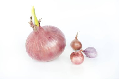 Beyaz arkaplanda Shallot 'ların kapatılması