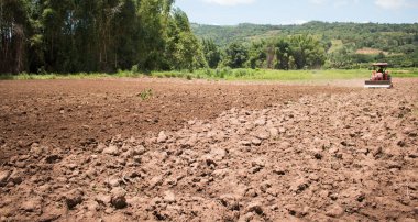Bitki için tarım alanında hazır toprak.
