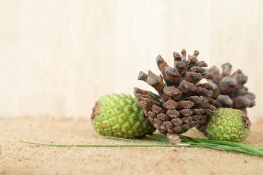 Taze kozalak çayı yapmak için taze kozalak..