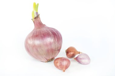 Beyaz arkaplanda Shallot 'ların kapatılması