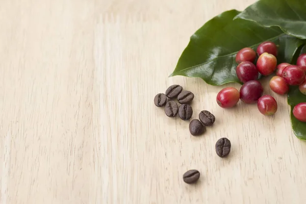 coffee berry and coffee beans on wooden panel