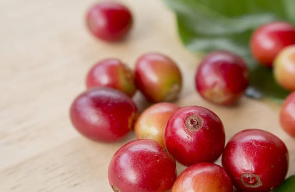 coffee berry and coffee beans on wooden panel