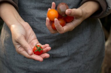 El tutan taze domates.