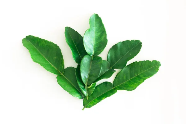 Fresh Green Kaffir Lime Folhas Isoladas Fundo Branco Ingradiente Para — Fotografia de Stock