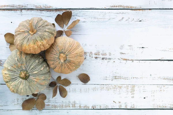 Podzim Den Díkůvzdání Pozadí Spadlého Listí Dýně Ovoce Dřevěném Stole — Stock fotografie