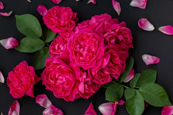 Close up image of pink roses on black background.