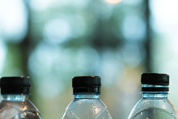 Zárja Ivópoharat Zöld Friss Háttér — Stock Fotó