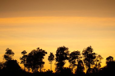 Gündoğumu efekti ve sahnenin önündeki altın ışık, klasik arka plan için güzel doğal açık hava.