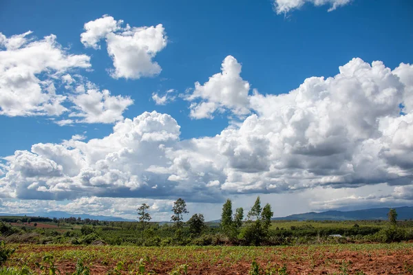 Tarım arazisi arka planına yağmur yağmadan önce gün boyunca beyaz bulutlu mavi gökyüzü..