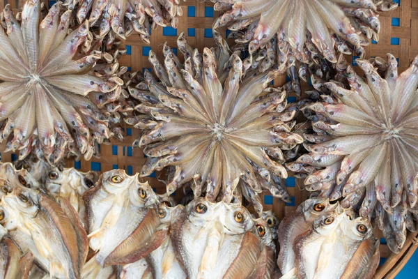 Dried fish for sale in store. — Stock Image Dried Fish Sale Store Stock Image