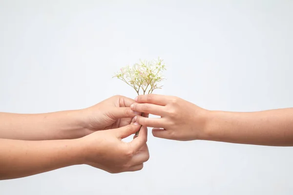 Primo Piano Mani Coppia Amico Felici Con Mazzo Fiori Tempo — Foto Stock