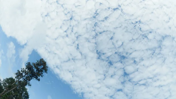 Белый Объект Облака Дизайна Природы Летний Фон — стоковое фото