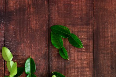 Taze Yeşil Kafir Kireç Yaprakları ahşap masa arkasında, Asya 'nın yiyecekleri için fotokopi alanı içeriyor..