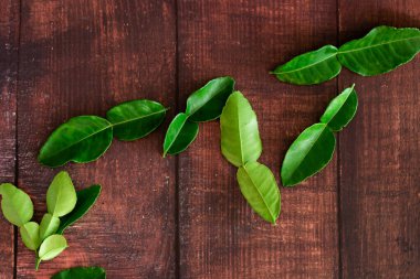 Taze Yeşil Kafir Kireç Yaprakları ahşap masa arkasında, Asya 'nın yiyecekleri için fotokopi alanı içeriyor..