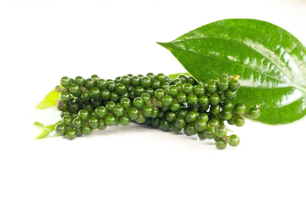 Fresh Green Peper Sur Fond Blanc — Photo