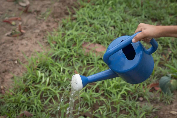 Watering Plants Watering Can — Stock Photo, Image