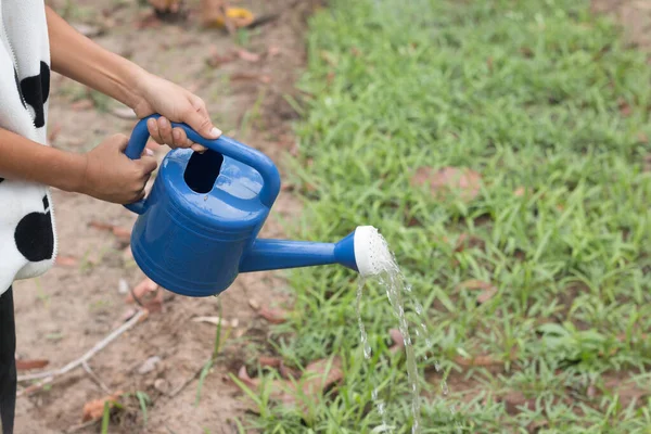 散水から植物に水をやることは — ストック写真