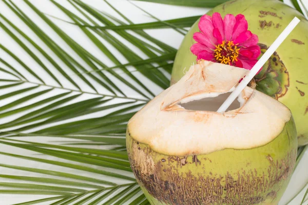 Tropische Cocktail Met Biologisch Rauw Kokoswater — Stockfoto