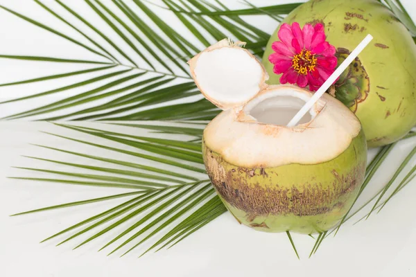 Tropický Koktejl Organickou Surovou Kokosovou Vodou — Stock fotografie