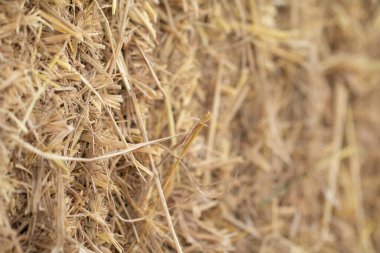 Kuru saman dokusunun yumuşak odağı.