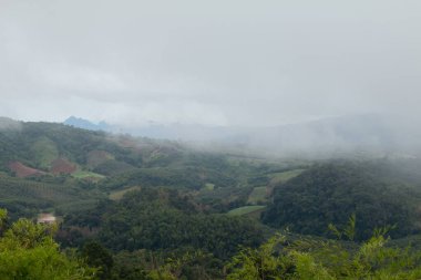 Dağlardaki Sisli Karanlık Gün.