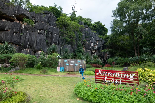 Loei Tajlandia Lipiec 2018 Park Ogrodowy Suan Hin Pha Ngam — Zdjęcie stockowe