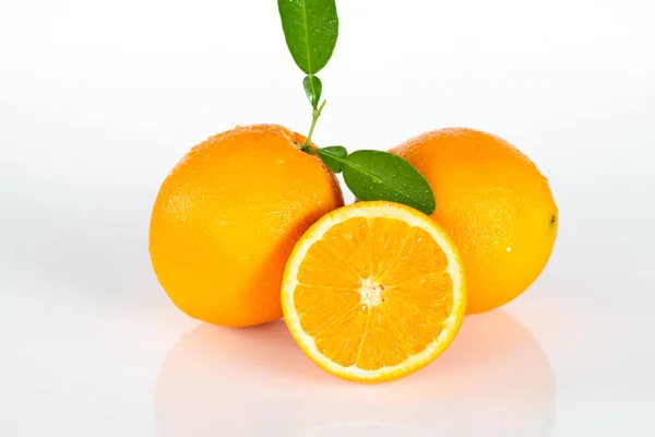 Valencia Oranges White Background — Stock Photo, Image