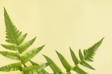 Klasik renk ton arkaplanlı yeşil tropikal yapraklar.