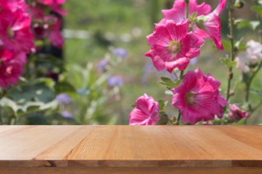 Bahçede çiçek açan Hollyhocks 'lu boş masa.