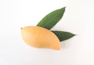 Beyaz arkaplanda yaprakları olan taze mangoları kapat.