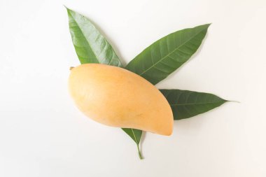 Beyaz arkaplanda yaprakları olan taze mangoları kapat.