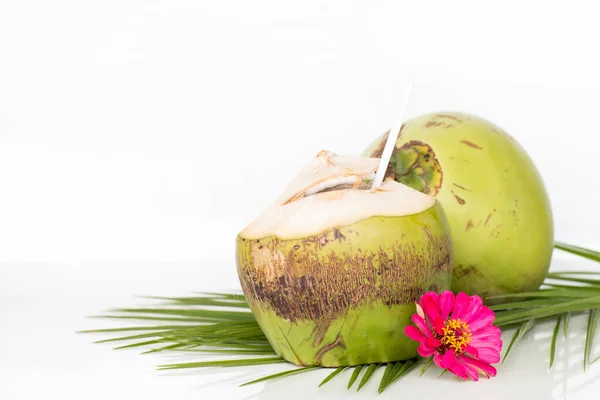 Cocktail Tropical Com Água Coco Cru Orgânica — Fotografia de Stock