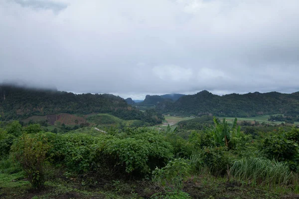 Coudy Oscuro Día Con Niebla Las Montañas —  Fotos de Stock